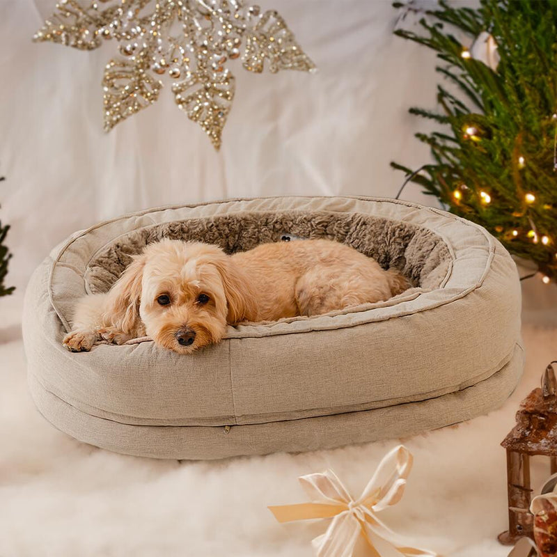 Sofá Cama para cachorro Donut