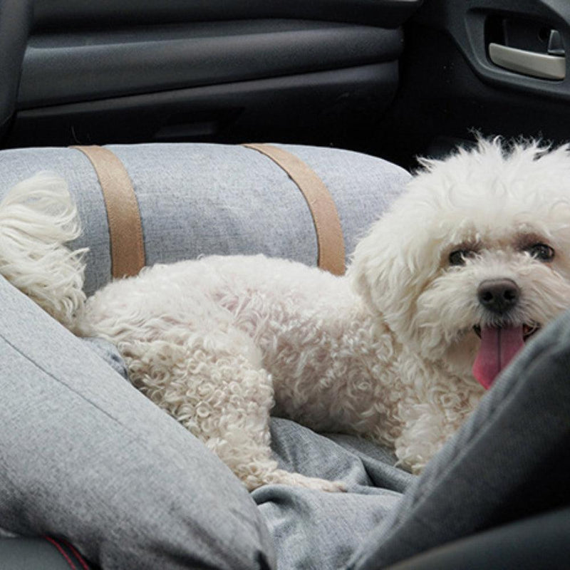 Cama de pet para carro ortopédico